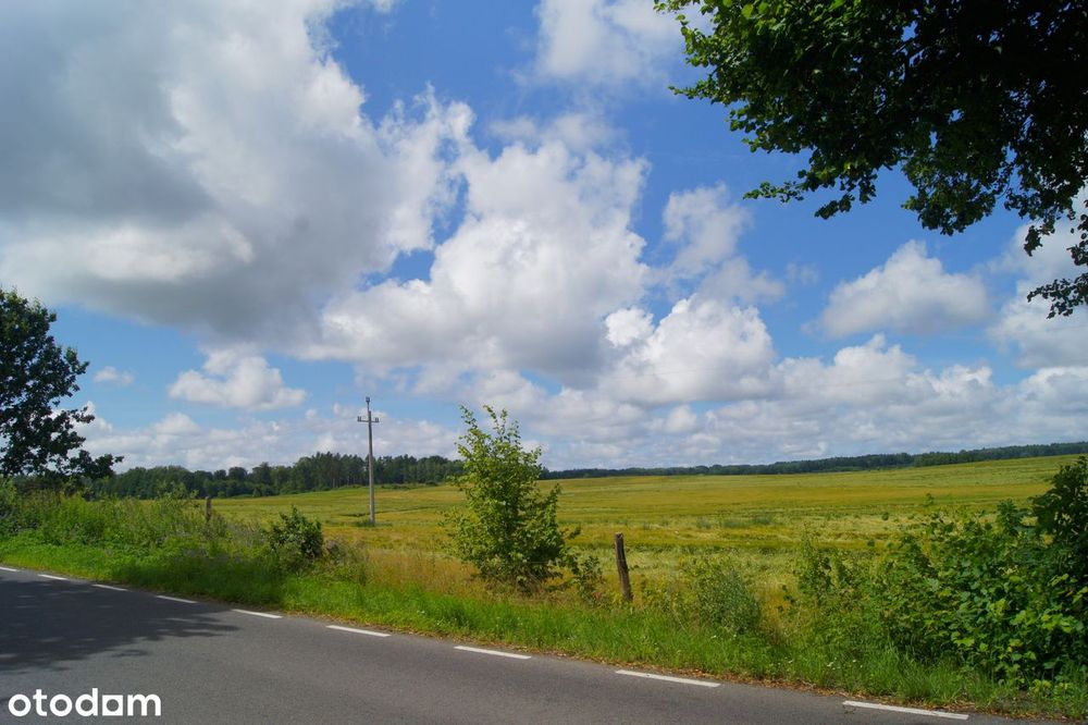 Działka 7 km od Elbląga, dojazd S22 - Więcej