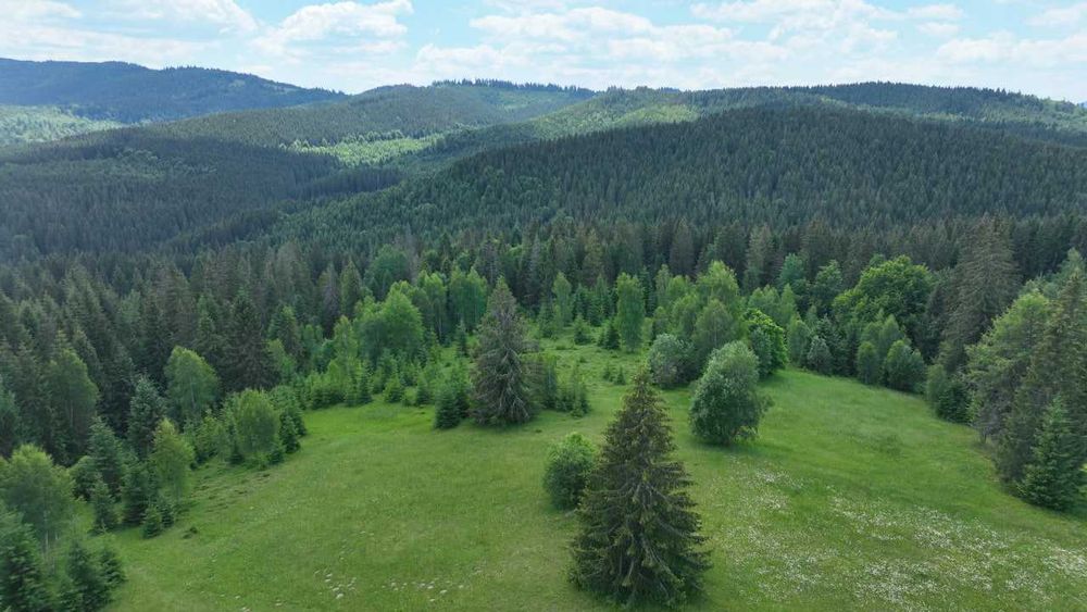 Продаж земельної ділянки