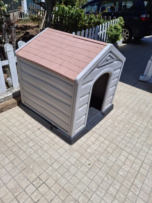 Casota de cão, porte médio/grande