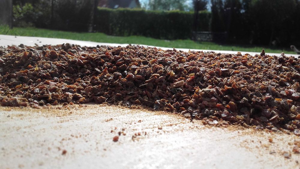 Kit pszczeli Naturalny Propolis prywatnie zbiór 2024 WYSOKA jakość