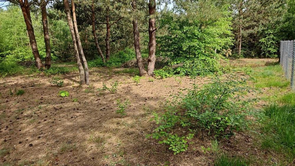Działka na sprzedaż 1000 m² przy lesie - Widok 3
