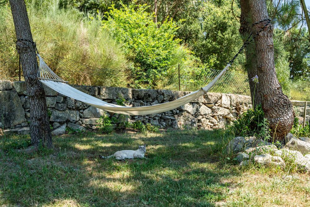 Festas de aniversário e Pequenos Eventos