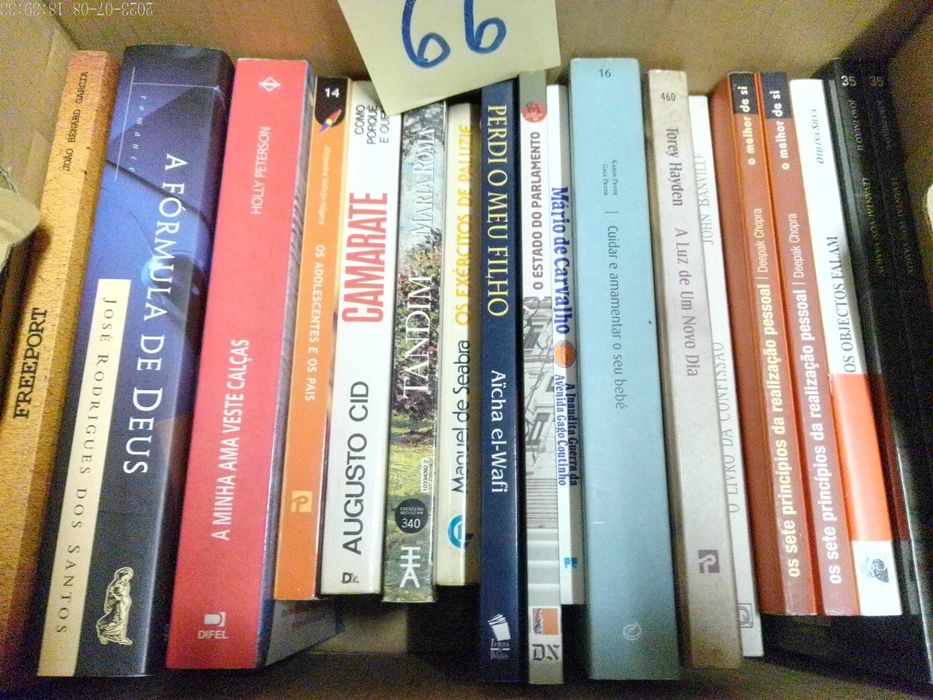 LOTES 65 + 66 - LIVROS Diversos - Vendidos EM SEPARADO - Vários Preços