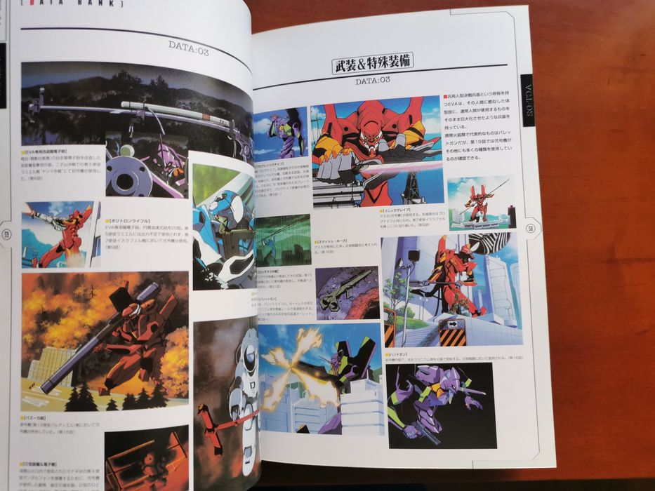 Neon Genesis Evangelion photo file 02
