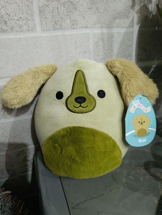 м'яка іграшка Squishmallows Ретривер Бред зеленого кольору.