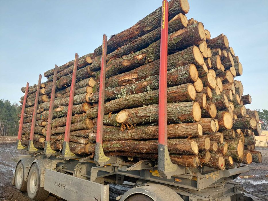 Promocja Drewno kominkowe opalowe walki dab brzoza  sosna swierk olcha