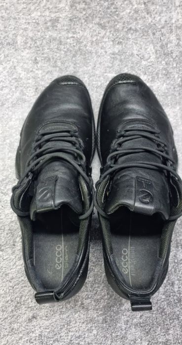 Кросівки Ecco Biom AEX