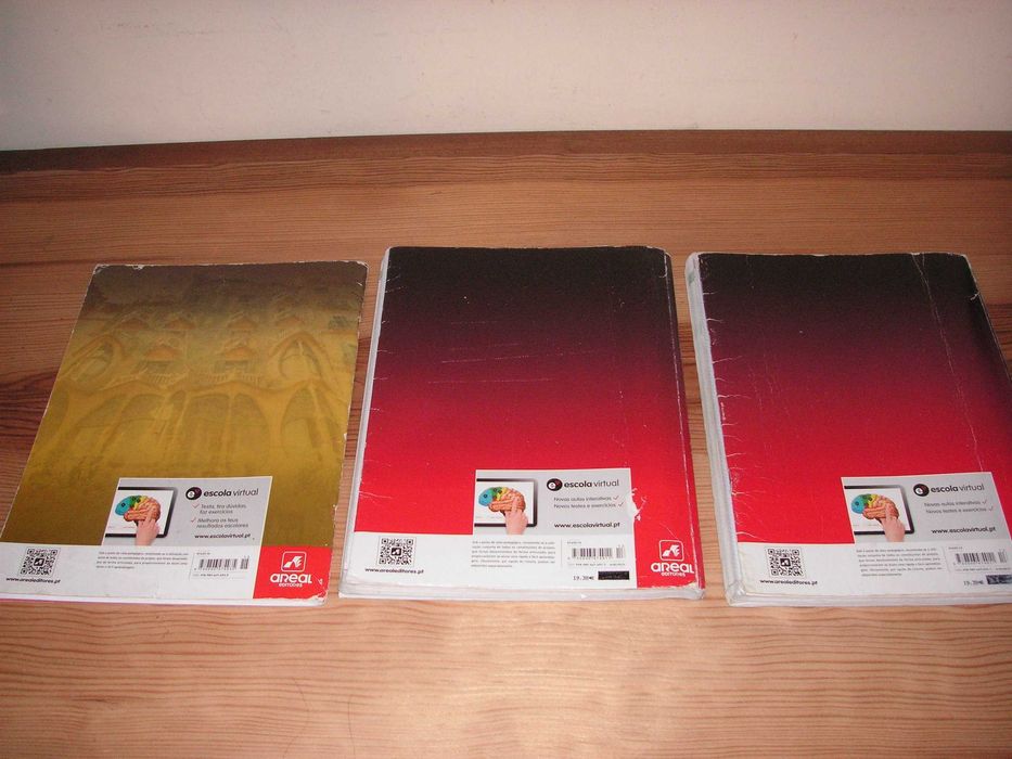 Spanish, 8th Grade – Textbook and Activities! Ahora Español! 264584960873859121