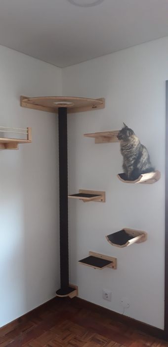 PLAYGROUND para gato - Parque de brincar para gato-Parquinho para gato