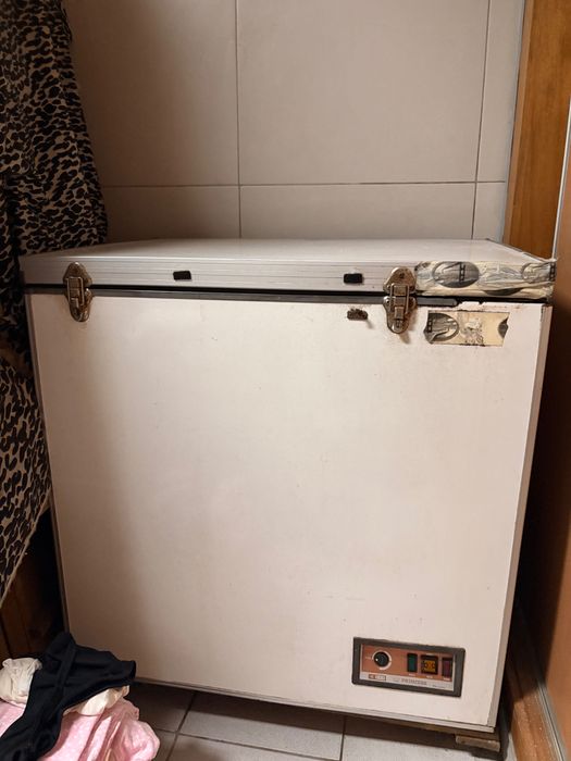 Arca congeladora Princess