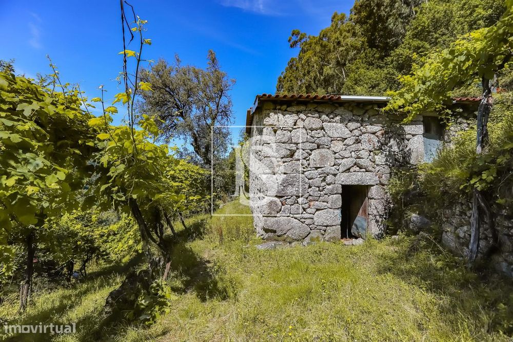 Moradia para Restaurar T2 Venda em Carvalheira,Terras de Bouro