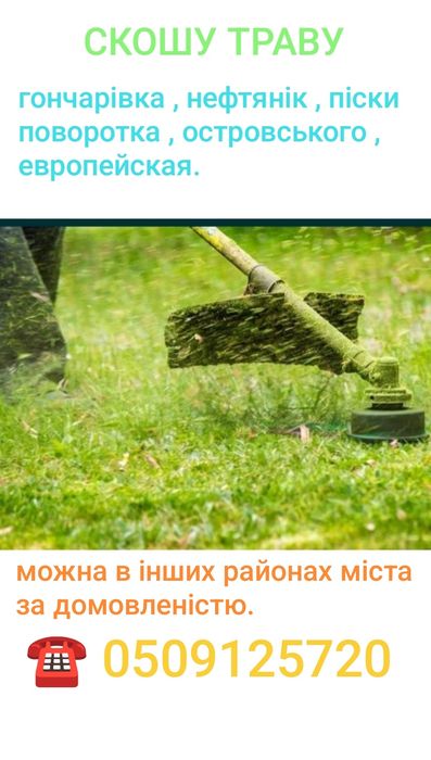 Скошу траву ( електрокоса)