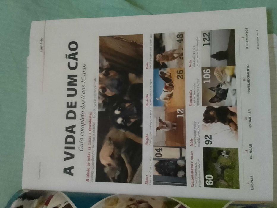 Livro "A Vida de um Cão - Guia Completo dos 0 aos 15 anos"