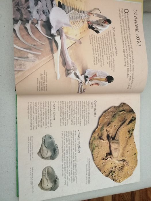 Ilustrowany Atlas świata dinozaurów