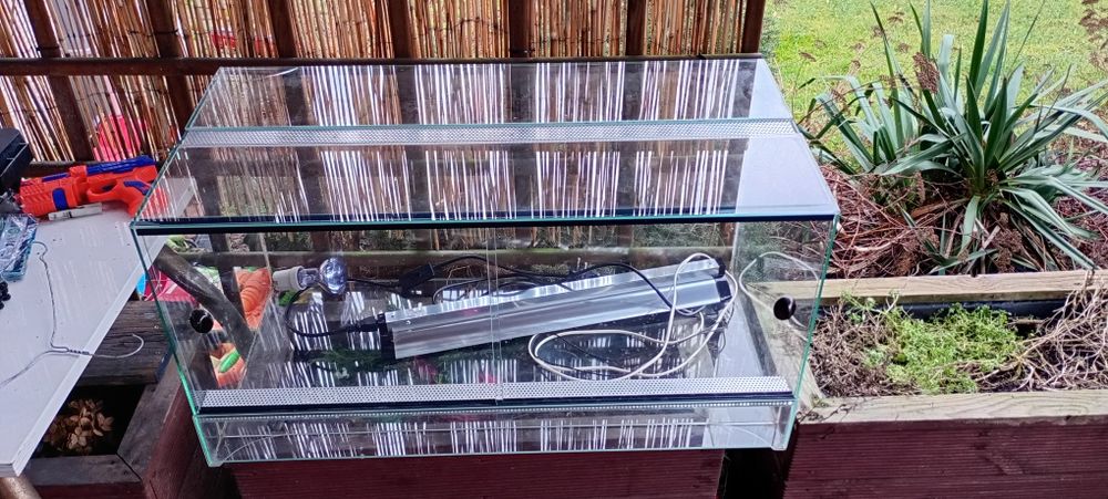 Terarium z oświetleniem