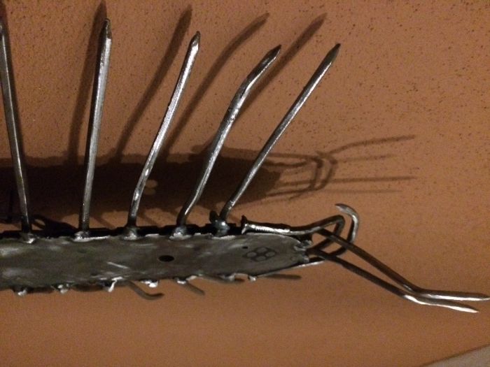 metaloplastyka - wij drewniak Lithobius forficatus