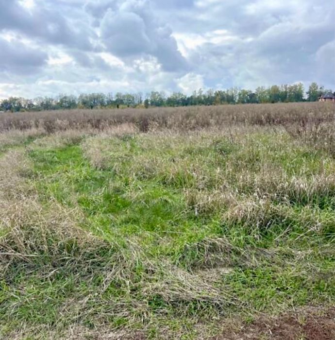 Продаж земельної ділянки в Бохониках!!!