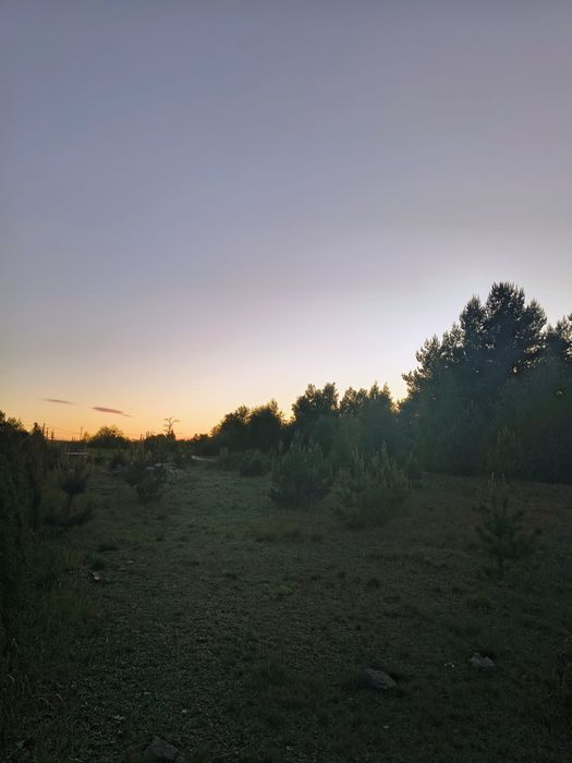 Sprzedam działkę STOBNO BORKI (WZ-ka bezterminowa) - Widok 2