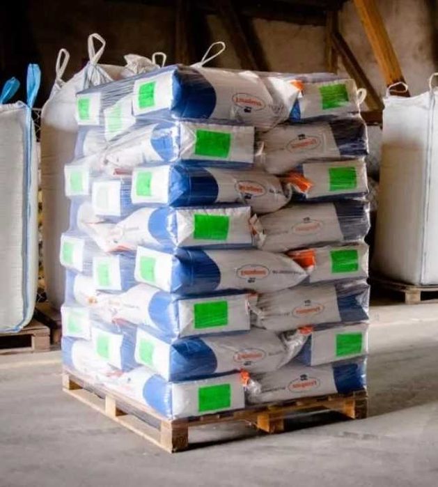 Ziarno Życica Kostrzewa Trawa Lucerna Kupkówka Tymotka Rajgras Trawy