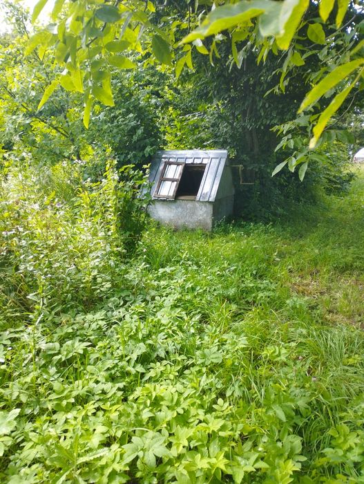 Продам будинок с.Уїздці 40 сот