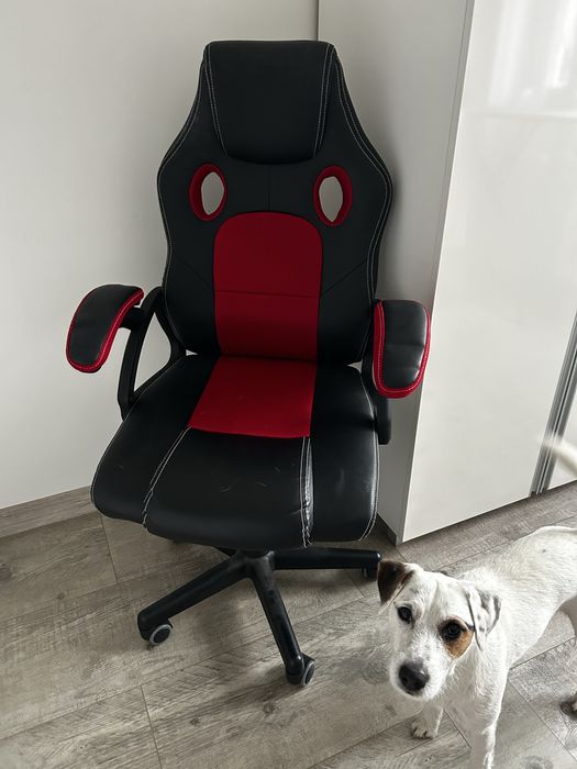 Fotel biurowy młodzieżowy