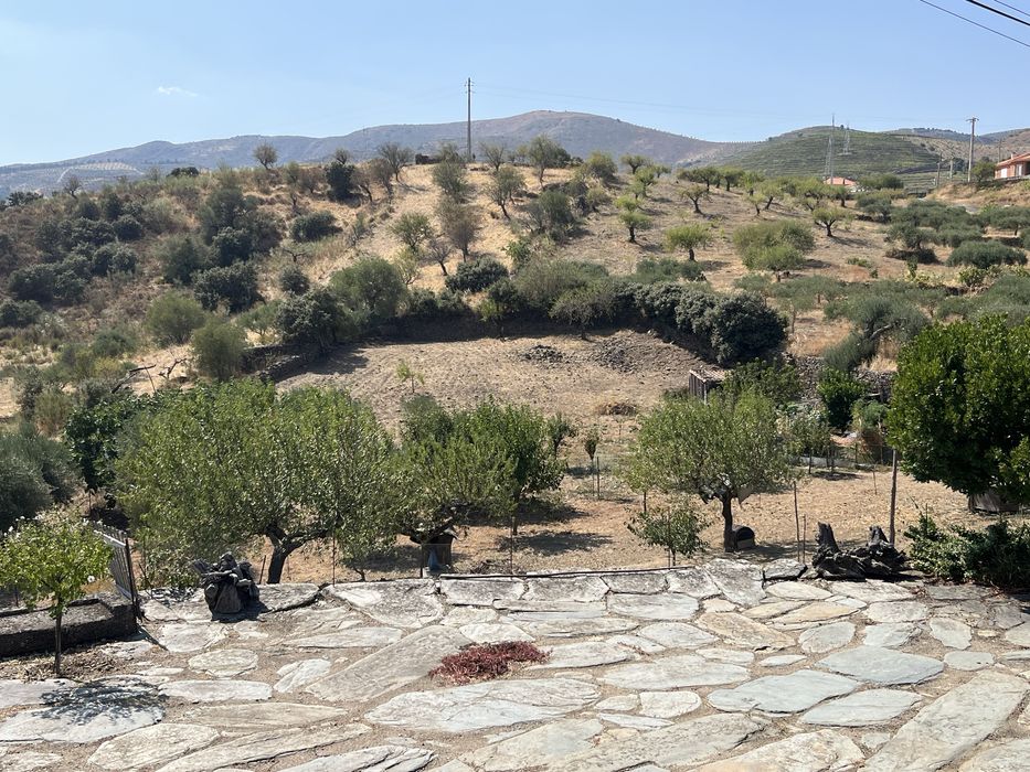 Lote para construção