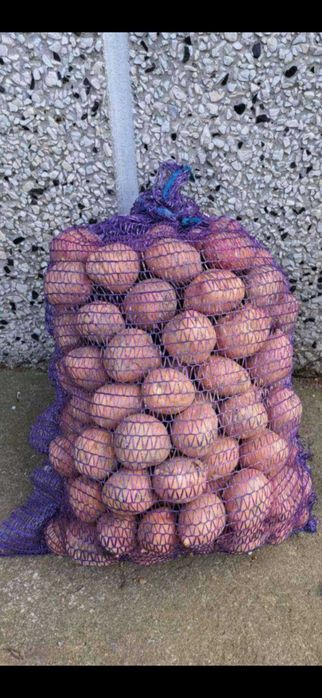 belaroza i soraja 15 kg /20 zł , ziemniak młody jadalny