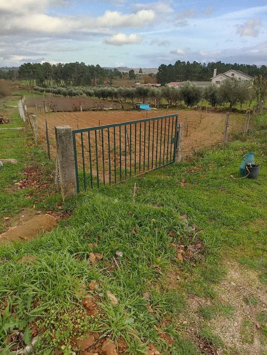 Terreno agrícola, casa, furo água, Alverca da Beira - Pinhel