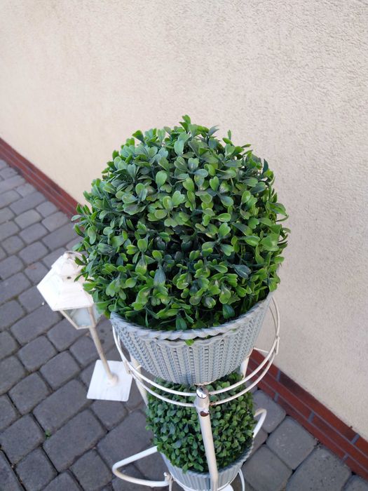 2 piękne sztuczne bukszpany w pięknych koszyczkach