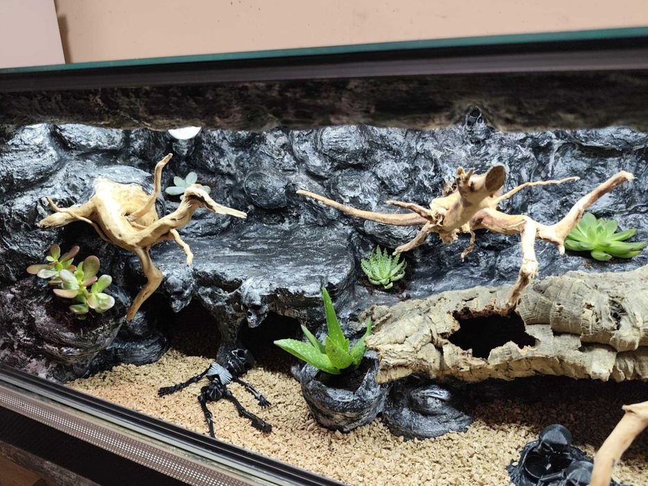 Terrarium stepowe - 100x40x40
