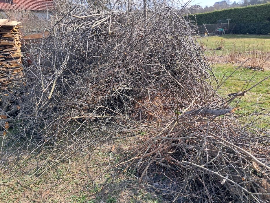 Gałęzie do zabrania