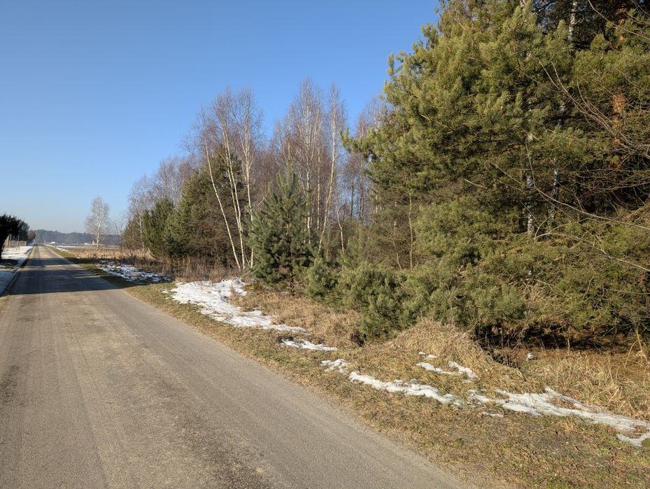 Działka na sprzedaż zalesiona