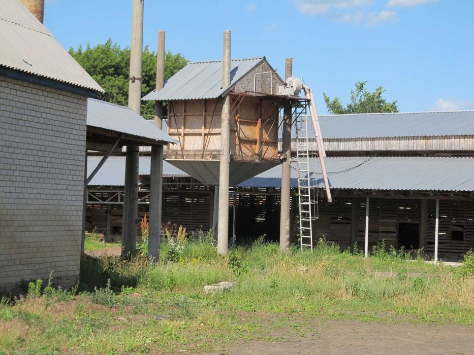 Столярное производство Балаклея