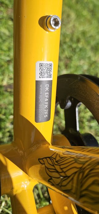 Bicicleta criança rodas 20