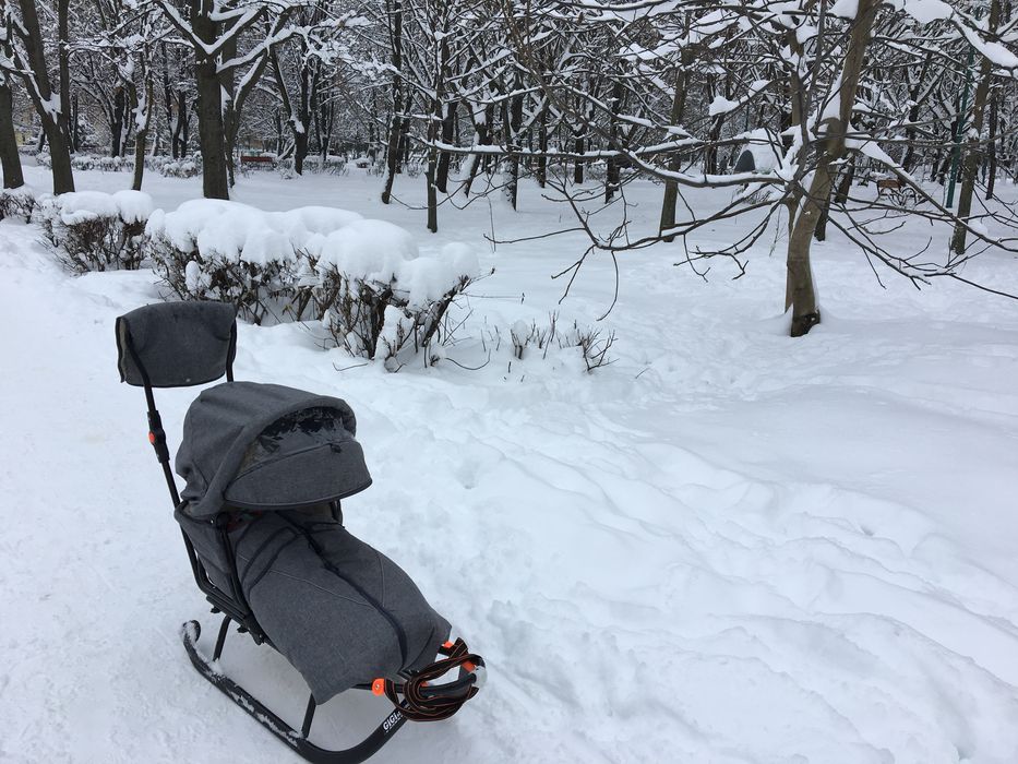 Дитячі Санки GiGi