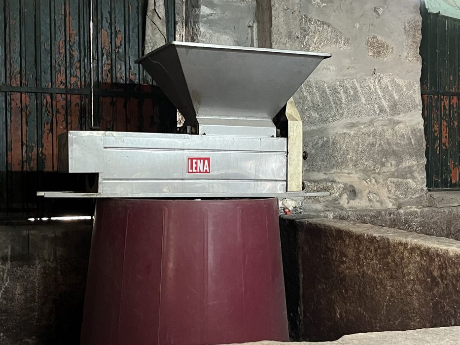 Esmagador Desengaçador de uvas inox motor mono.