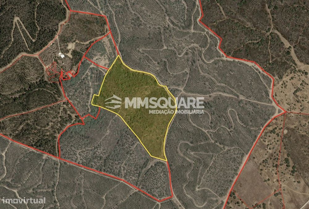 Terreno Rústico  Venda em Ourique,Ourique