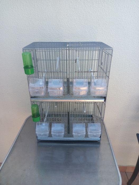 Gaiola/viveiro duplo para canários ou aves de pequeno porte.