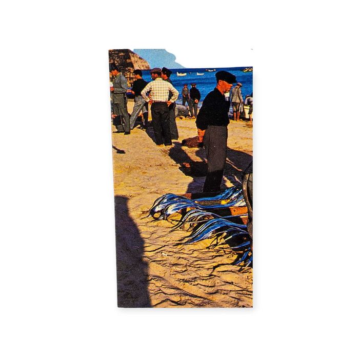 Postal Antigo–Sesimbra Portugal–Escolha de Peixe na Praia(Década 1950)