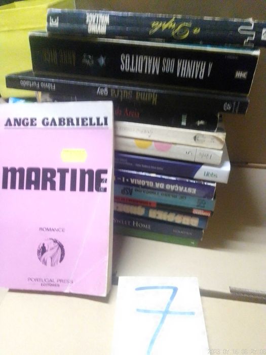 Livros VENDIDOS INDIVIDUALMENTE Lote 7 - Vários Preços