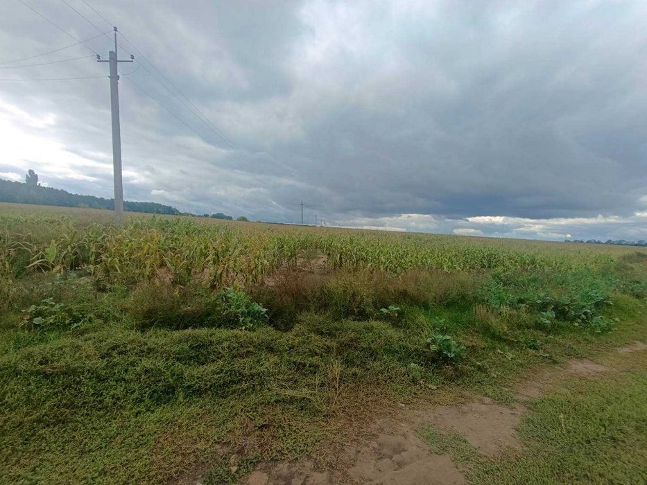 Продаж земельної ділянки, 2 га, с. Якушинці