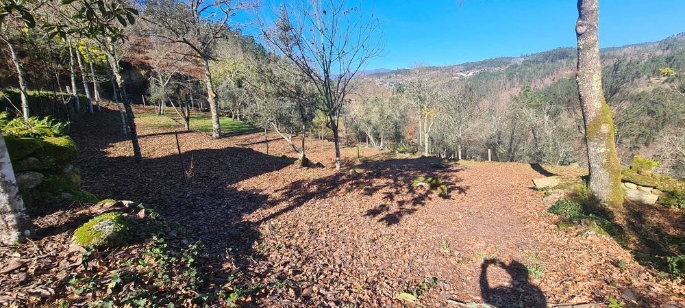 Terreno com Ruínas e Grande Potencial — Próximo Termas de S. Pedro Sul