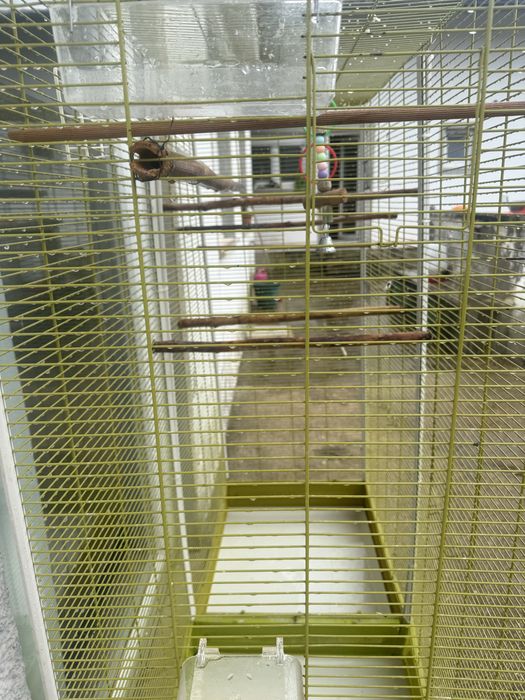 Vende se Gaiola e acessórios