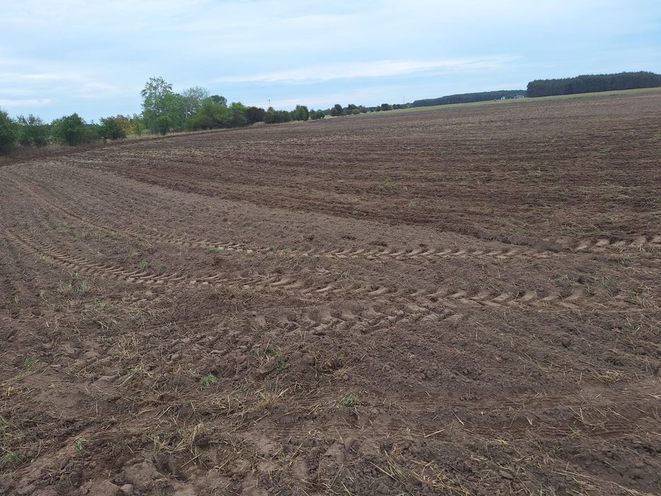Ziemia rolna 0,95 ha