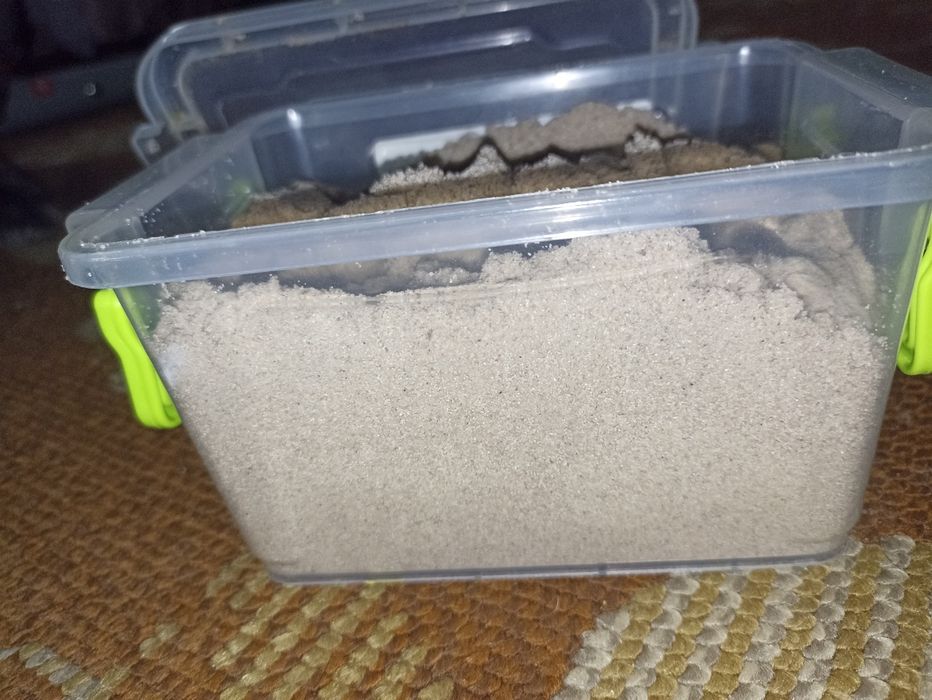 Живий кінетичний пісок