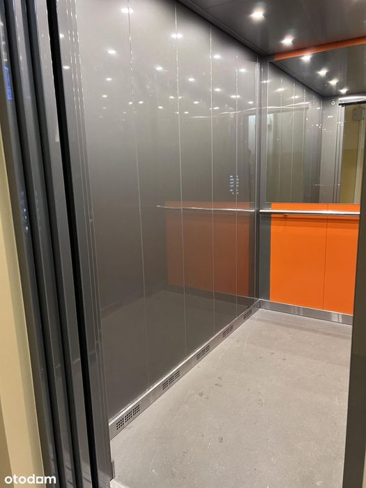 Zdjęcie 8