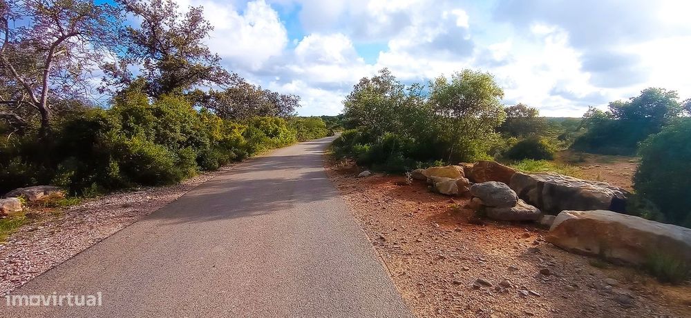 Terreno Rústico  Venda em Conceição e Estoi,Faro