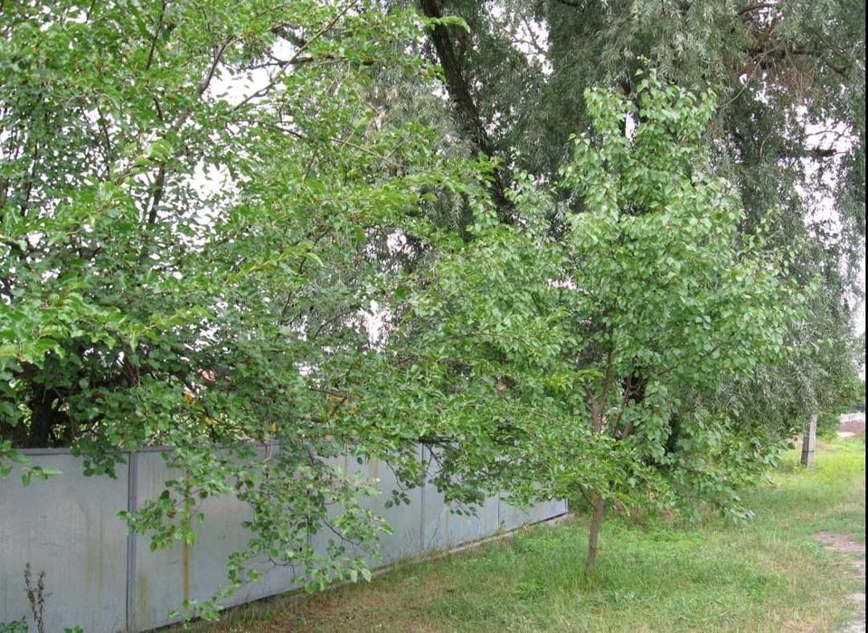 Капітальний будинок, 166 м², 87 м² житлової площі: Автономність, Безпека та Простір! + Власне бомбосховище всередині будинку