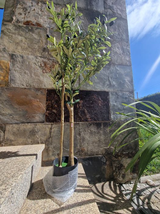 oliveira artificial decorativa