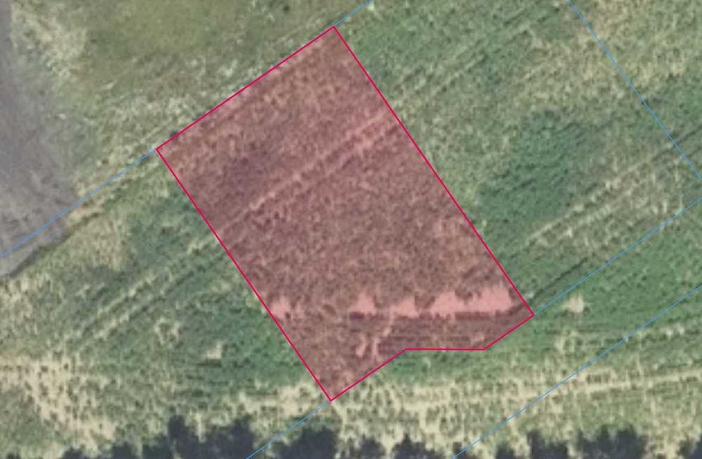 869 m² | Osówiec – Działki z WZ | BLISKO BYDGOSZCZY - Widok 3